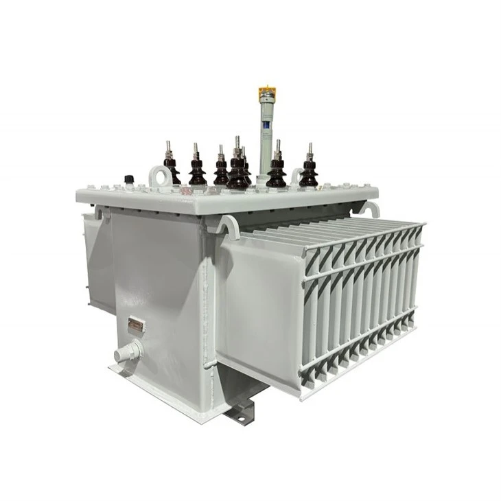75 KVA 3 Phase Distribution Transformer-0.22/0.415 KV | Guyana 2025 best