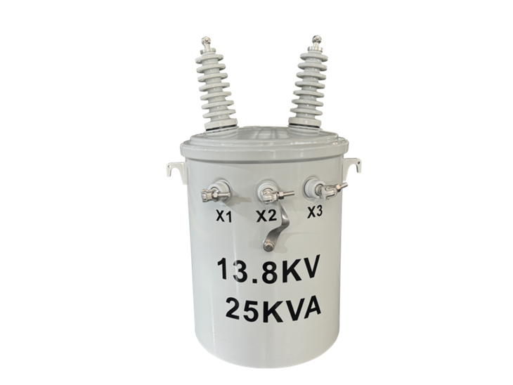 25 kVA transformator rasvjetni stup-13,8/0,24 kV|Gvajana 2025